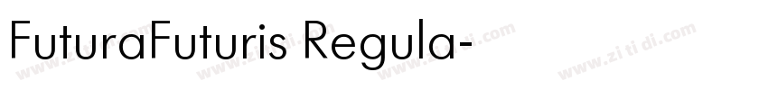 FuturaFuturis Regula字体转换